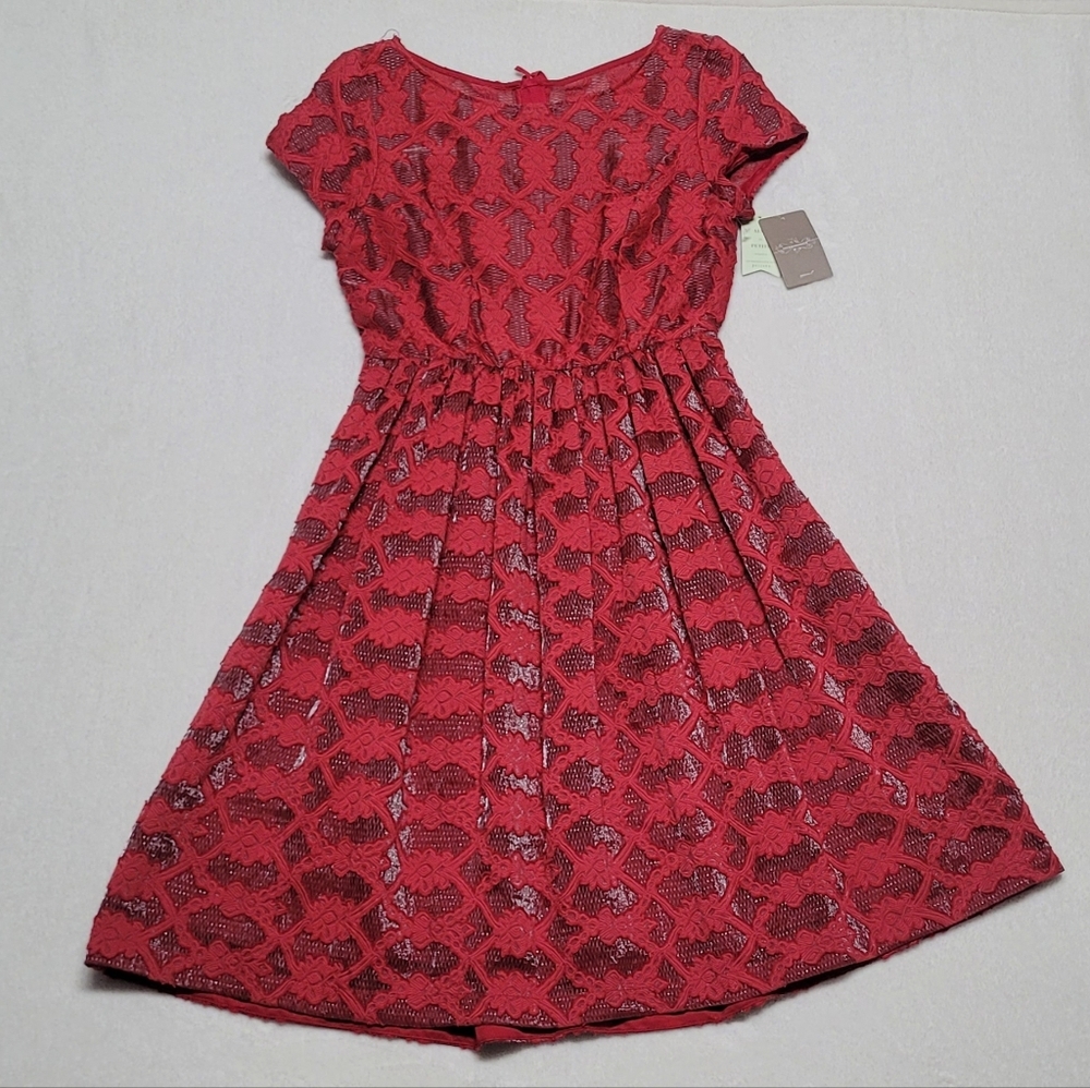 Anthropologie Moulinette Soeurs Rubied Lace Dress Fit & Flare Pleated Mini Dress - Picture 2 of 13